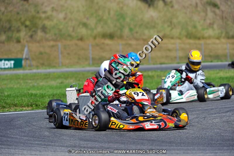 DSC_ (1389).jpg